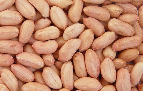 Peanut, Country of Origin : India