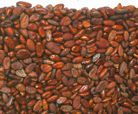 Dry Cocoa Beans