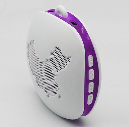 Portable Subwoofer Sound Box