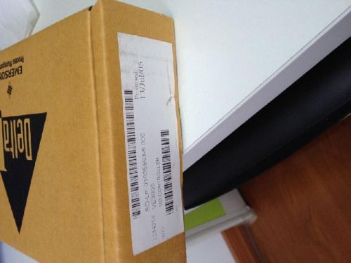 EMERSON DeltaV VE4003S2B1