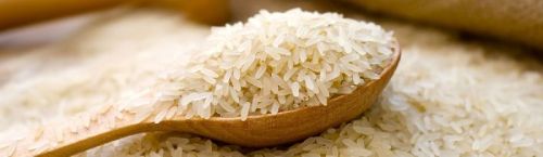 Basmati rice, Cultivation Type :Common