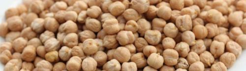 White chickpeas, Packaging Size : 25 & 50kg