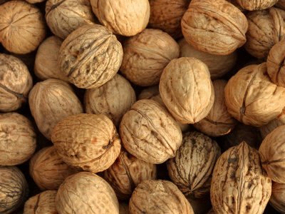 Walnut kernel