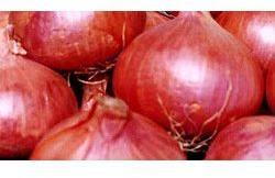 Red Onion