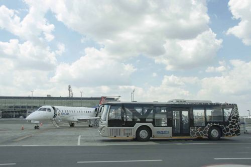 Low Floor City Buses