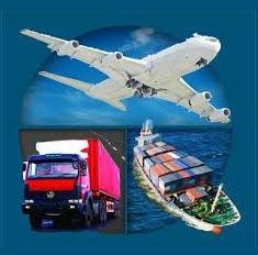 Chain Management Services