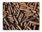 Long Pepper