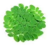 Moringa Leaves