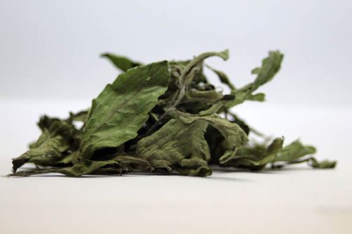 Stevia Dry Leaves