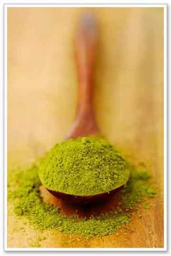 Stevia Green Powder