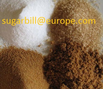 Lactose Free Milk Powder, Milk Sugar