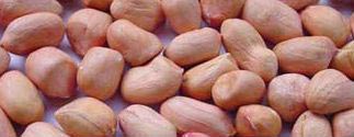 Skinned Peanuts