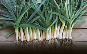 Fresh Leeks