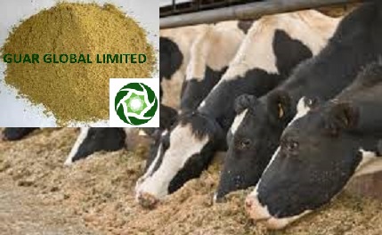 Common Cattle Feed, Packaging Type : Bags, Bulk, Container, Jute Bags, Loose, Plastic Pouch, PP Bags