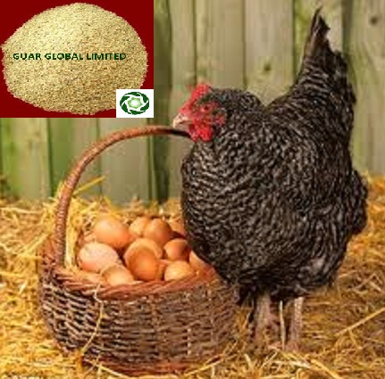 Poultry Churi Guar