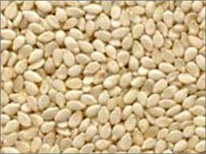White sesame seeds, Usage/Application : Cooking,Baking,Seasoning