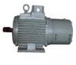 Electric Motor Brake