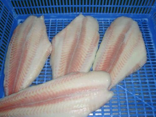 Frozen Pangasius Fish