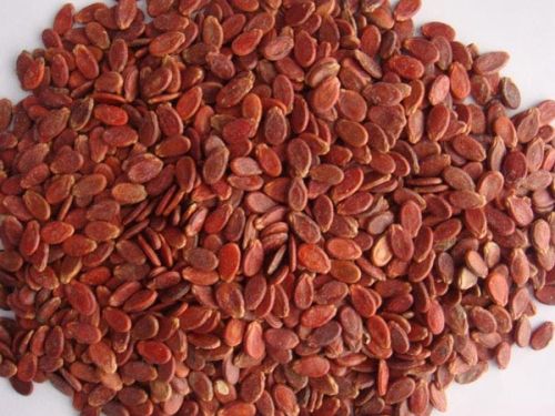 Red Watermelon Seeds