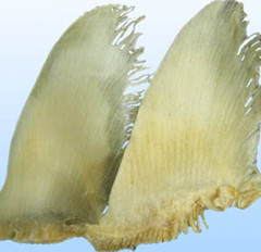 Chondroitin Sulphate