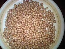 Java Groundnut Kernels