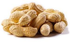 Shelled Groundnuts