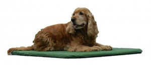 FIDEX PET Mattress