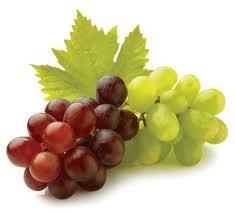 Grapes, Packaging Type : Carton