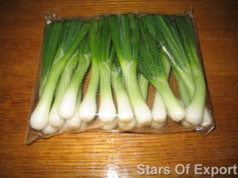Spring Onions