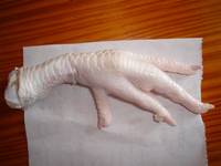 Processed Chicken Feet