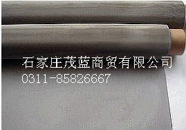 Stainless Steel Flat Netting