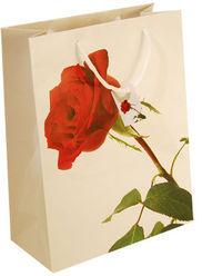 Paper Bag Printing Services