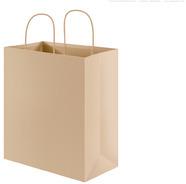 Paper Carry Bag Printing Services
