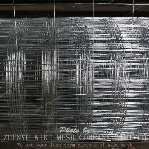 Iron Welded Wire Mesh, Brand Name : Zhenyu for Construction