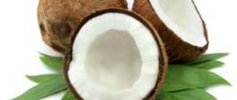 Coconut, Packaging Type : Loose, Gunny Bag