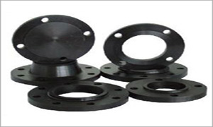 Carbon & Alloy Steel Flanges