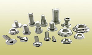 Stainless Steel Fasteners