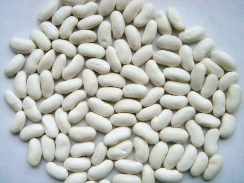 White kidney beans, Packaging Type : Jute Bag