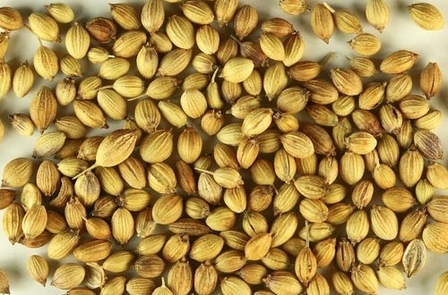 Coriander seeds, Specialities : Good Quality
