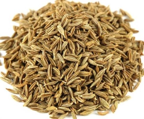 Cumin seeds, Packaging Size : 50kg