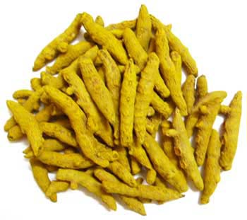 Turmeric finger, Material : Turmeric