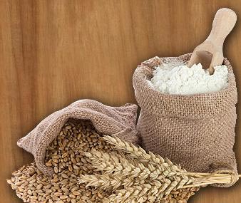 Wheat Feature : High In Protein, Good For Health