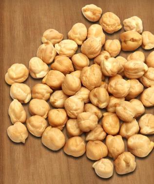 White chickpeas, Purity : 99.9%