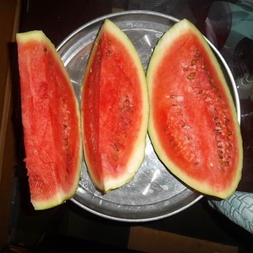 Fresh watermelon, Brand Name : Nigerian Origin