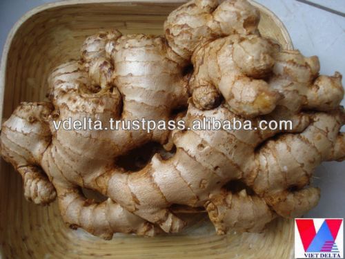 Fresh ginger Nutritional Information :Low In Calories, High In Gingerol