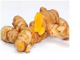 Fresh Turmeric, Brand Name : GW