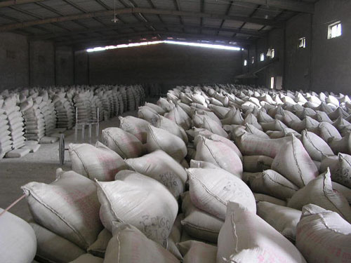 Ordinary Portland Cement, Brand Name : Yadong