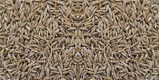 Cumin Seeds, For Spices, Packaging Type : Customized