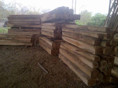 Ecuador Sagwan, Teakwood Semi Blocks