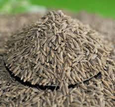 Cumin Seeds